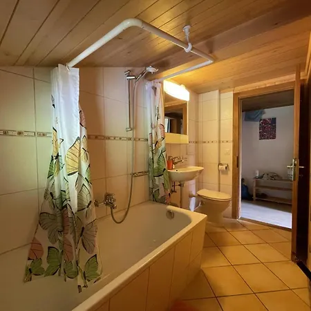 Sonnegg Appartement-fewo- Dusche Oder Bad- Wc 5-bettwohnung By Interhome * Gsteig